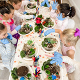 Fairies Party